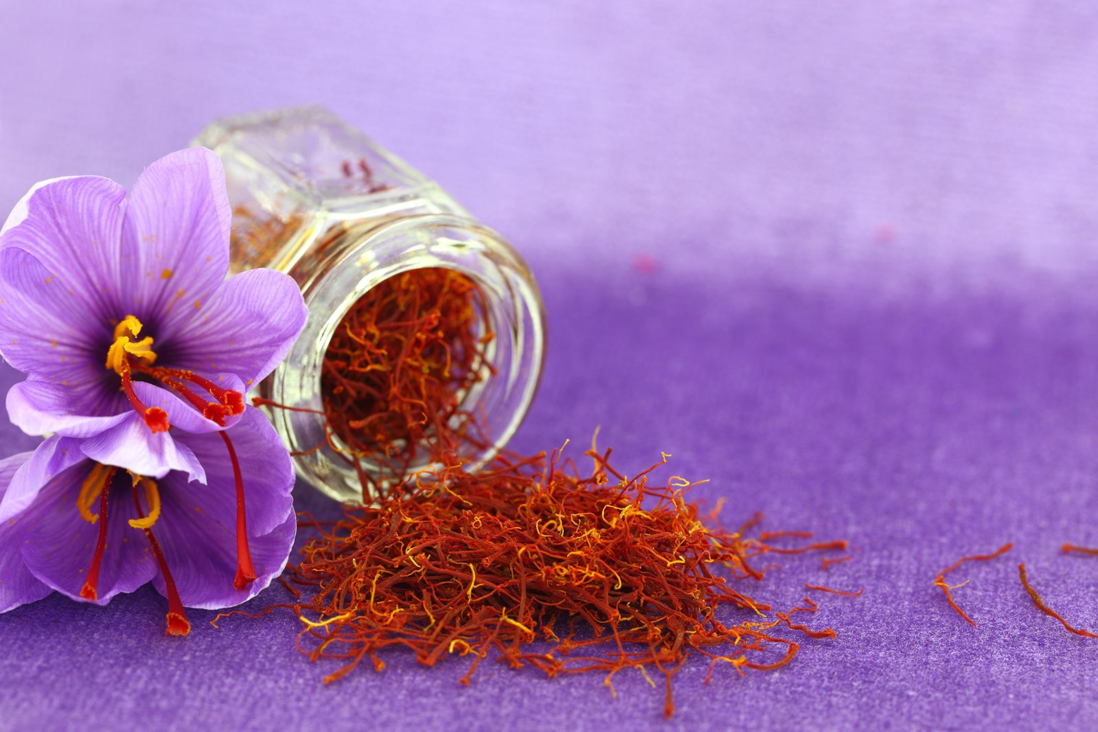 saffron_resized_under_2MB